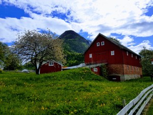 20180519_111423-effects