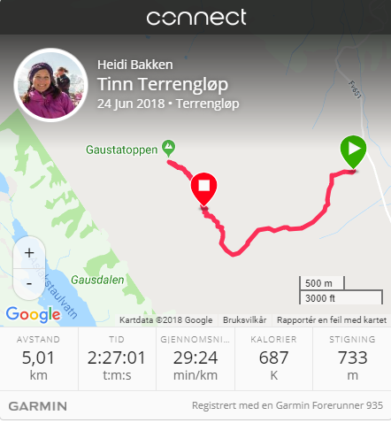Garmin snapshot dag 2 Gaustatoppen