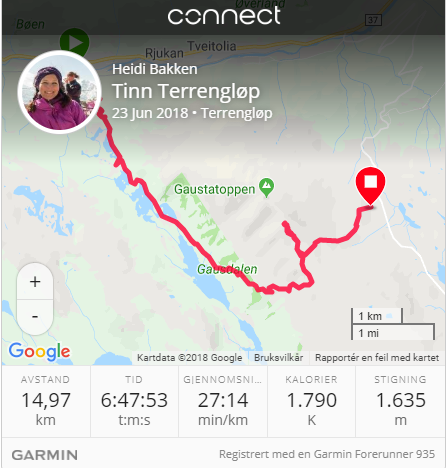 Garmin snapshot