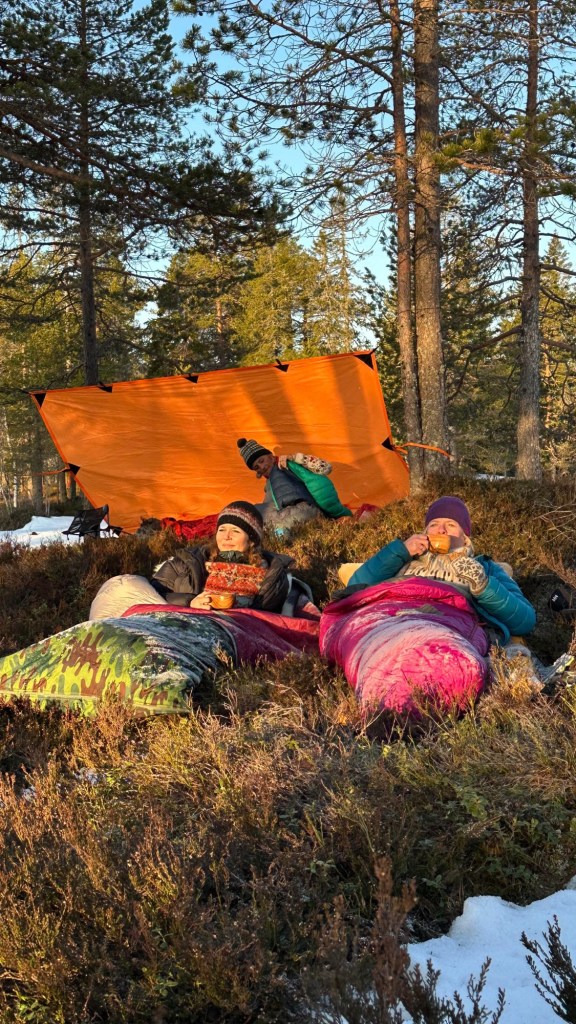 16ae191f-7098-46af-8e5a-6a250fc0d644-1