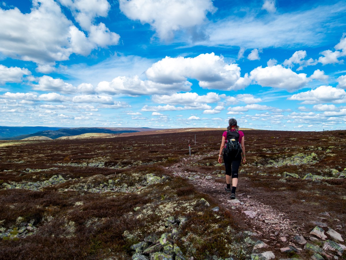 Fulufjellet nasjonalpark – to parker i to land