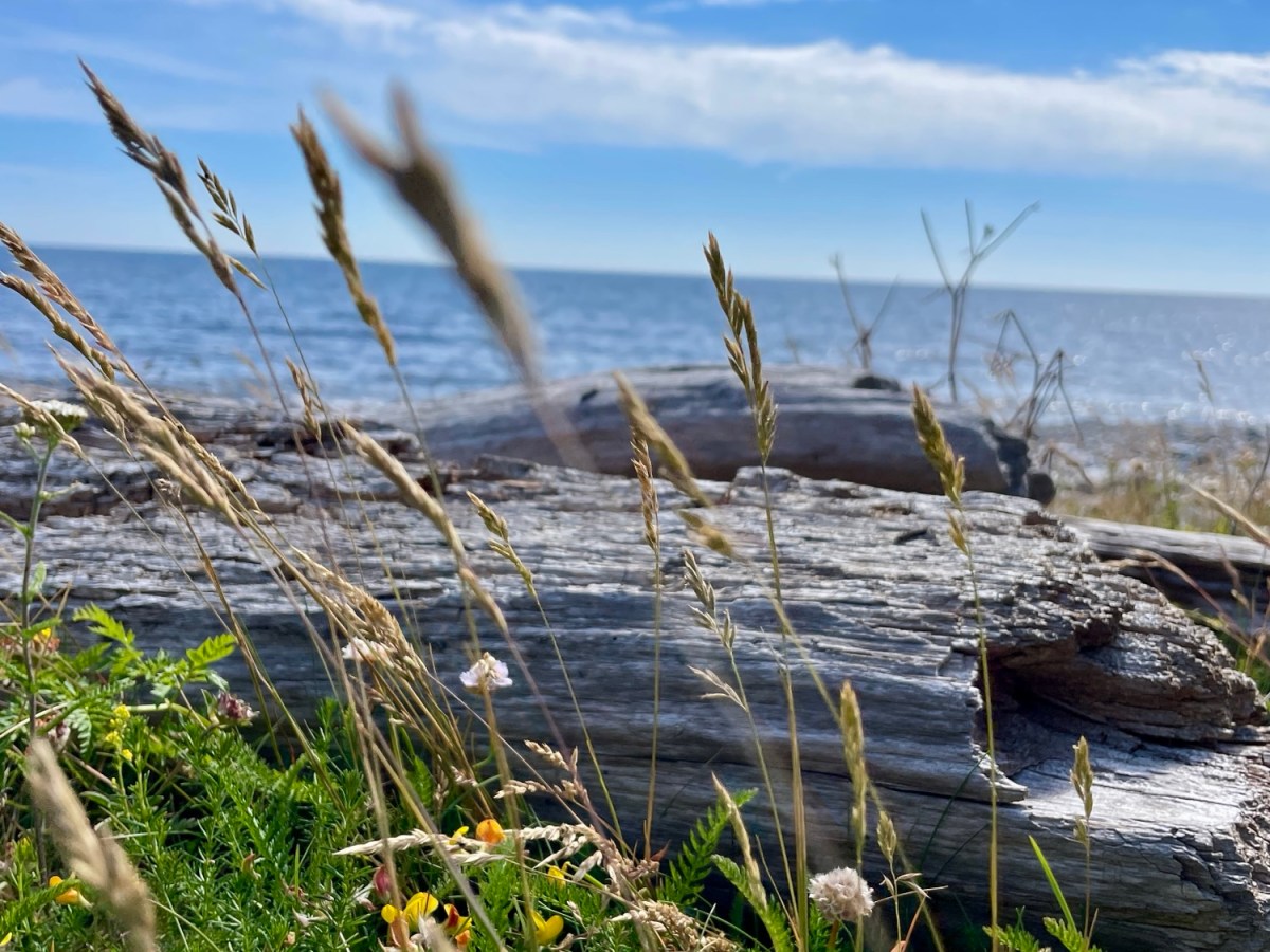 Jomfruland nasjonalpark – til lands og til vanns