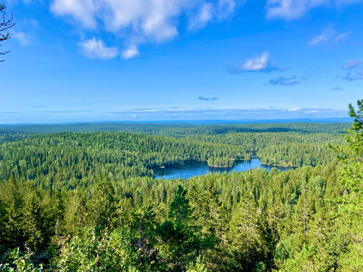 Østmarka Nasjonalpark – til fots og i kano