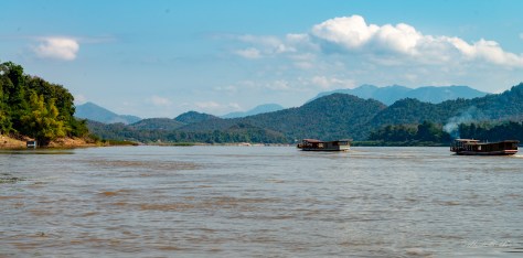 Laos – landet med en million elefanter